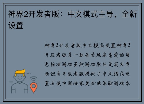 神界2开发者版：中文模式主导，全新设置